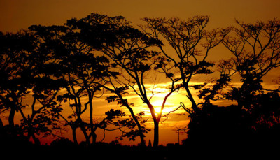 Sonnenaufgang_web