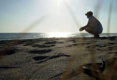 beach_web